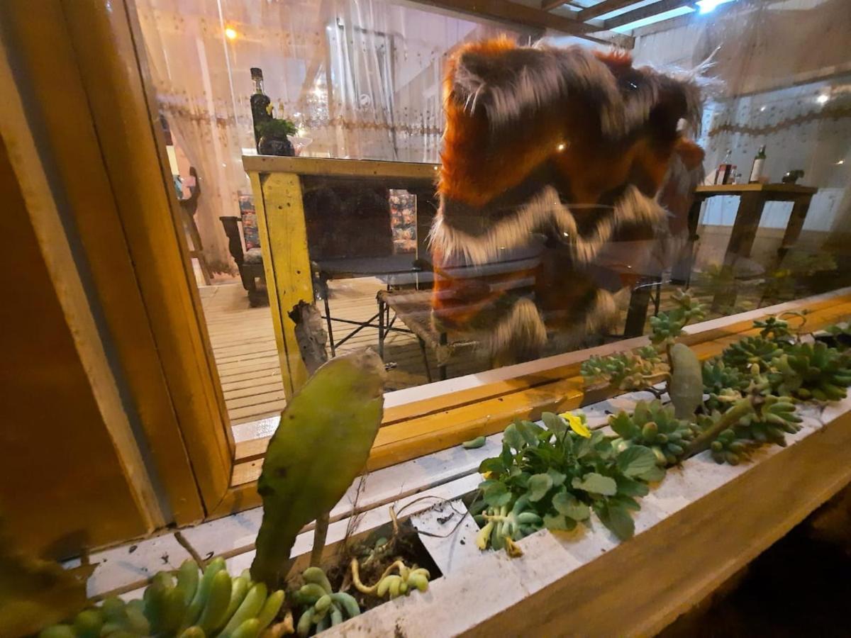 Pousada Vitrine Cambará Zewnętrze zdjęcie